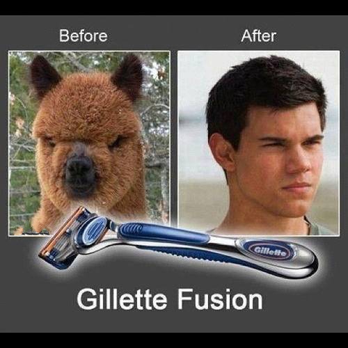 Gillete-Fusion